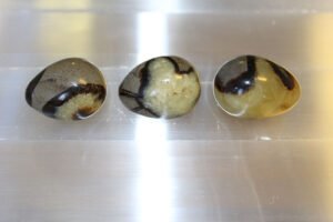 Septariamunat 35-40mm