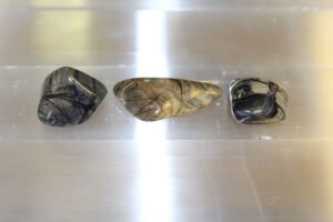 Picassojaspis 25-40mm